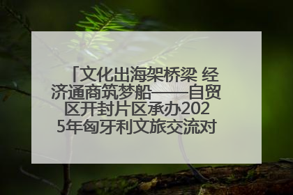 文化出海架桥梁 经济通商筑梦船——自贸区开封片区承办2025年匈牙利文旅交流对接活动专场
