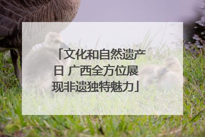 文化和自然遗产日 广西全方位展现非遗独特魅力