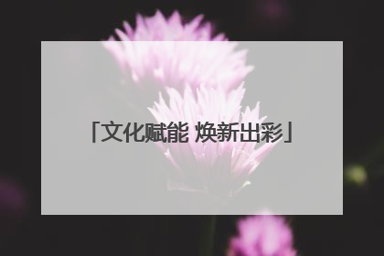 文化赋能 焕新出彩