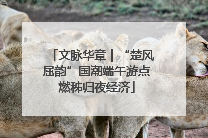 文脉华章｜“楚风屈韵”国潮端午游点燃秭归夜经济