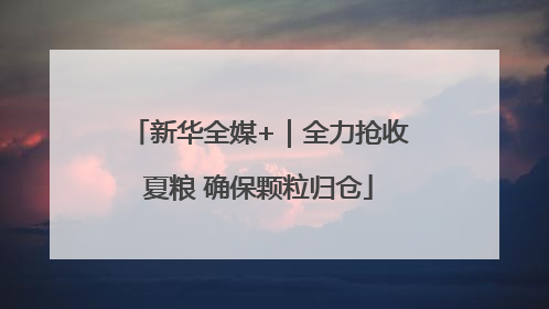 新华全媒+｜全力抢收夏粮 确保颗粒归仓