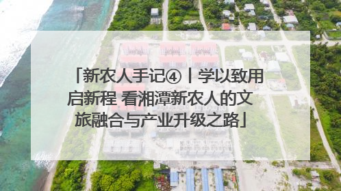 新农人手记④丨学以致用启新程 看湘潭新农人的文旅融合与产业升级之路