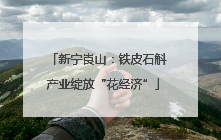 新宁崀山：铁皮石斛产业绽放“花经济”