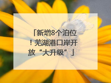 新增8个泊位！芜湖港口岸开放“大升级”