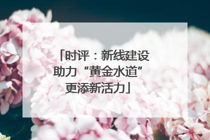 时评：新线建设助力“黄金水道”更添新活力