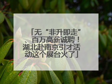 无“非升即走”、百万高薪诚聘！湖北赴南京引才活动这个展台火了