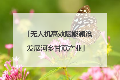 无人机高效赋能澜沧发展河乡甘蔗产业
