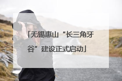 无锡惠山“长三角牙谷”建设正式启动