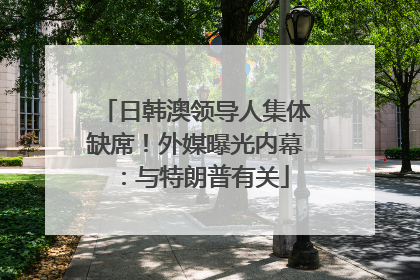 日韩澳领导人集体缺席！外媒曝光内幕：与特朗普有关