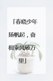 春晓少年扬帆起，奋楫乘风破万里