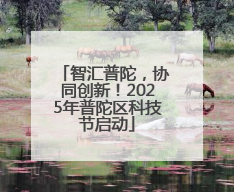 智汇普陀，协同创新！2025年普陀区科技节启动