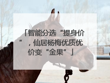智能分选“提身价”，仙居杨梅优质优价变“金果”