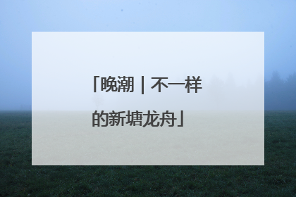 晚潮｜不一样的新塘龙舟