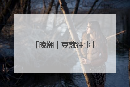 晚潮｜豆蔻往事