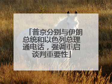 普京分别与伊朗总统和以色列总理通电话，强调重启谈判重要性