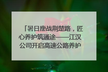 暑日鏖战荆楚路，匠心养护筑通途——江汉公司开启高速公路养护专项工程建设热潮