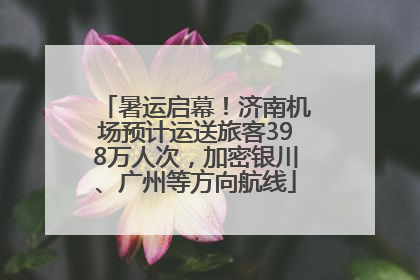 暑运启幕！济南机场预计运送旅客398万人次，加密银川、广州等方向航线