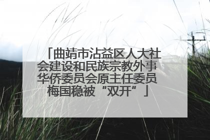 曲靖市沾益区人大社会建设和民族宗教外事华侨委员会原主任委员梅国稳被“双开”