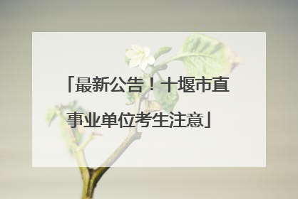 最新公告！十堰市直事业单位考生注意