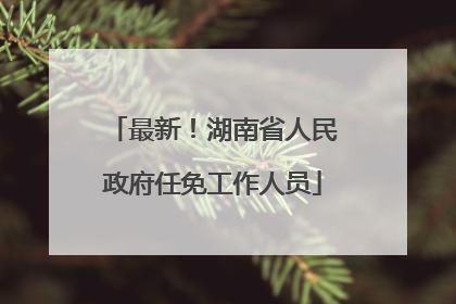 最新！湖南省人民政府任免工作人员