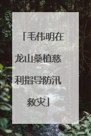 毛伟明在龙山桑植慈利指导防汛救灾