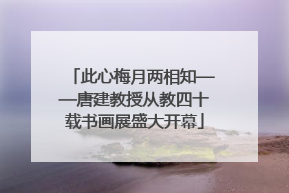 此心梅月两相知——唐建教授从教四十载书画展盛大开幕