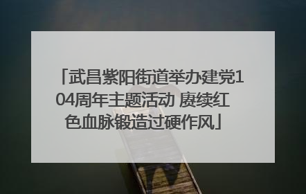 武昌紫阳街道举办建党104周年主题活动 赓续红色血脉锻造过硬作风