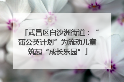 武昌区白沙洲街道：“蒲公英计划”为流动儿童筑起“成长乐园”