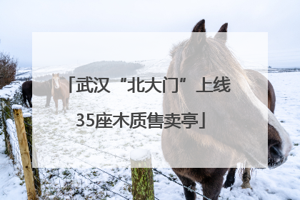 武汉“北大门”上线35座木质售卖亭