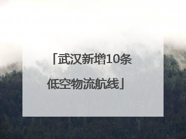 武汉新增10条低空物流航线