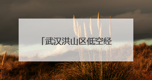 武汉洪山区低空经济综合试验区建设启动，“1+4+1”产业布局初现