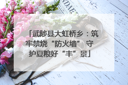 武陟县大虹桥乡：筑牢禁烧“防火墙” 守护夏粮好“丰”景