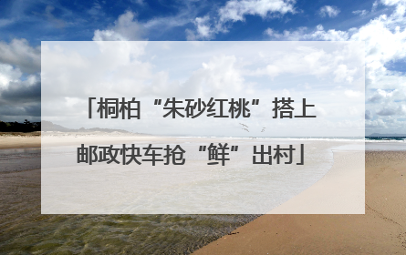 桐柏“朱砂红桃”搭上邮政快车抢“鲜”出村