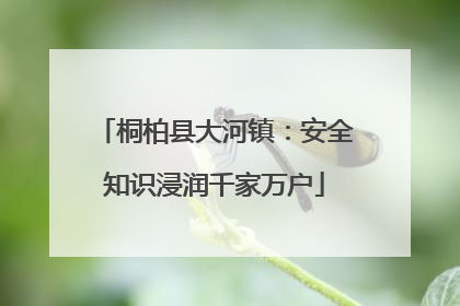 桐柏县大河镇：安全知识浸润千家万户