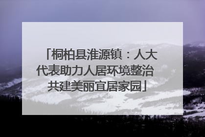 桐柏县淮源镇：人大代表助力人居环境整治 共建美丽宜居家园