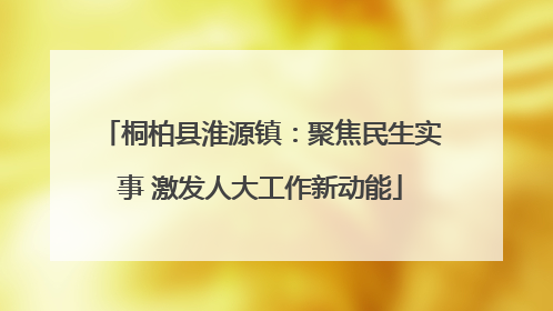 桐柏县淮源镇：聚焦民生实事 激发人大工作新动能