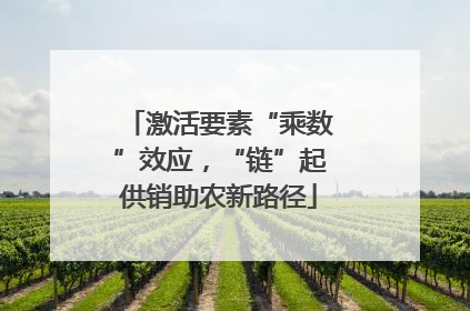 激活要素“乘数”效应，“链”起供销助农新路径