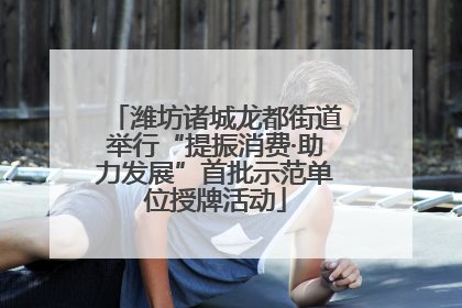 潍坊诸城龙都街道举行“提振消费·助力发展”首批示范单位授牌活动
