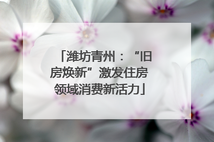 潍坊青州：“旧房焕新”激发住房领域消费新活力