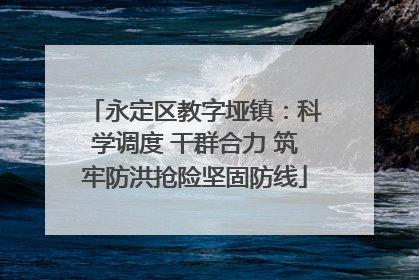 永定区教字垭镇：科学调度 干群合力 筑牢防洪抢险坚固防线