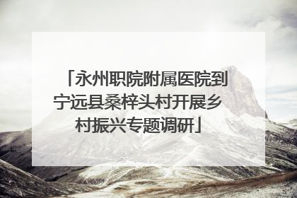 永州职院附属医院到宁远县桑梓头村开展乡村振兴专题调研