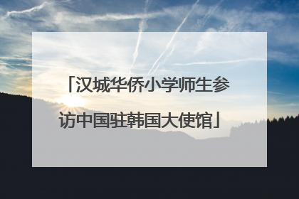汉城华侨小学师生参访中国驻韩国大使馆