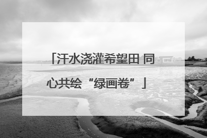 汗水浇灌希望田 同心共绘“绿画卷”