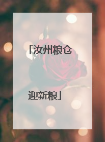 汝州粮仓迎新粮