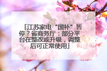 江苏家电“国补”暂停？省商务厅：部分平台在整改或升级，调整后可正常使用