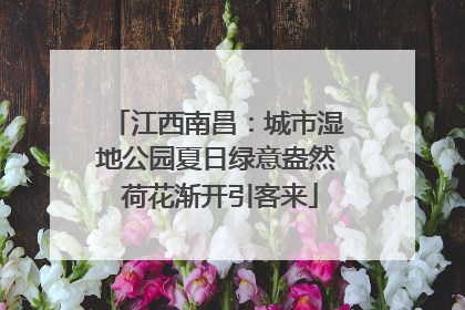 江西南昌：城市湿地公园夏日绿意盎然 荷花渐开引客来
