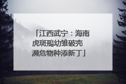 江西武宁：海南虎斑鳽幼雏破壳 濒危物种添新丁