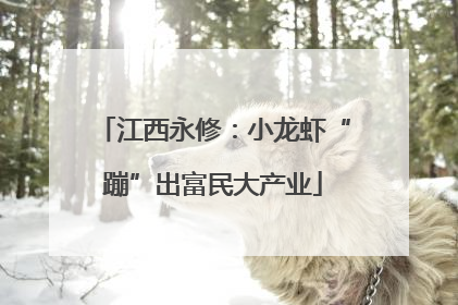 江西永修：小龙虾“蹦”出富民大产业