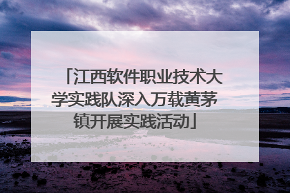 江西软件职业技术大学实践队深入万载黄茅镇开展实践活动