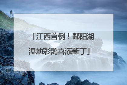 江西首例！鄱阳湖湿地彩鹮喜添新丁